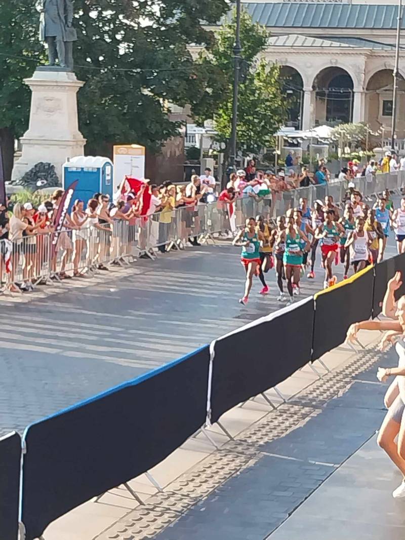 370568922_1013009846692189_3010981827624574773_n másolata.jpg